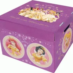 Χάρτινα Κουτιά Αποθήκευσης Μεσαία (2Τμχ) Princess