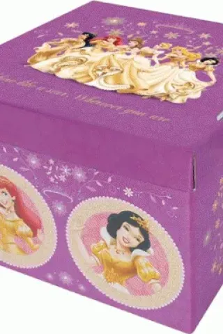 Χάρτινα Κουτιά Αποθήκευσης Μεσαία (2Τμχ) Princess