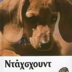 Ντάχσχουντ