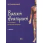 Βασική ανατομική Βασική ανατομική