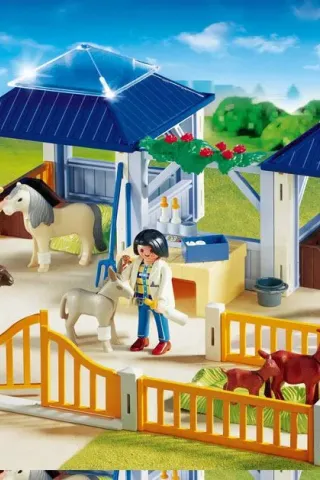 Playmobil 4344: Αναρρωτήριο Κτηνιατρικής Κλινικής