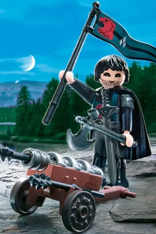 Playmobil Ιππότης του Γερακιού 4872