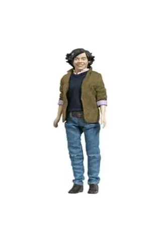 HASBRO ONE DIRECTION A2524 HARRY DOLL