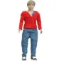 HASBRO ONE DIRECTION A2528 NIALL DOLL