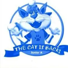 The Cat is Back Junior A. Test Book