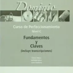 Dominio: Curso de perfeccionamiento. Fundamentos y claves 