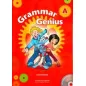Grammar Genius A Pupil's Book with CDRom