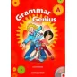 Grammar Genius A Teacher's Book