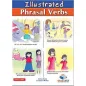 ILLUSTRATED PHRASAL VERBS B2 Teacher's Book