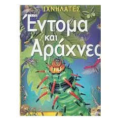 Έντομα και αράχνες