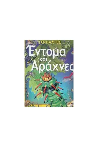 Έντομα και αράχνες