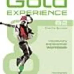 Gold Experience B2 Workbook  (2014)