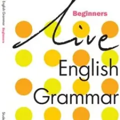 Live English Grammar Beginners