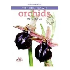 The Self-sown Orchids of Creece