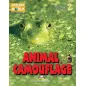 Animal Camouflage - Reader (+ Cross-platform Application)