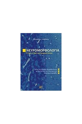 Νευρομορφολογία, Η λεπτή υφή του νευρικού ιστού Τριάρχου Λάζαρος Κ