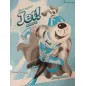 Jet junior A Companion