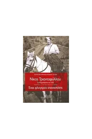 Νίκος Τριανταφύλλου, Συνταγματάρχης του ΔΣΕ