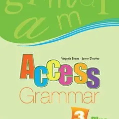 Access 3 Plus Grammar Book
