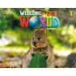 Welcome to our world 1 & 2 Pack 2nd edition