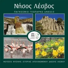 Νήσος Λέσβος: Παγκόσμιο Γεωπάρκο Unesco Μουσείο Φυσικής Ιστορίας Απολιθωμένου Δάσους Λέσβου