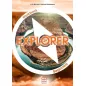 Explorer Beginners Workbook (+CD)