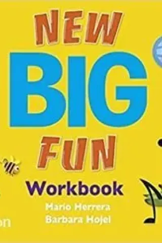 New Big Fun 2 Workbook (+CD)