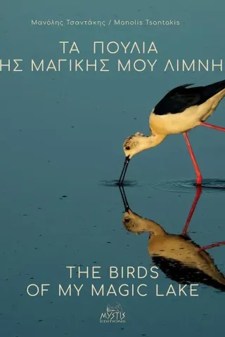 Τα πουλιά της μαγικής μου λίμνης Μανόλης Τσαντάκης 978-618-5421-51-9