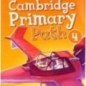 Cambridge Primary Path 4 Grammar and Writing Workbook