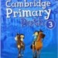 Cambridge Primary Path 3 Activity book (+Practice Extra)