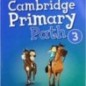 Cambridge Primary Path 3 Grammar and Writing Workbook