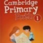 Cambridge Primary Path 1 Grammar and Writing Workbook