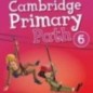 Cambridge Primary Path 6 Grammar and Writing Workbook