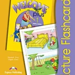 Welcome Plus 1 Picture Flashcards