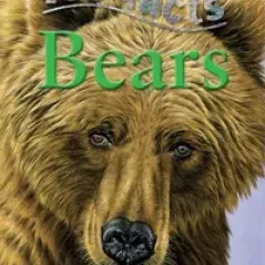 100 Facts Bears