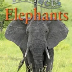 100 Facts Elephants