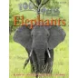 100 Facts Elephants