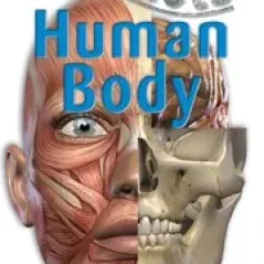 100 Facts Human Body