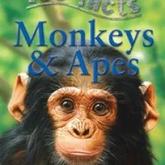 100 Facts Monkeys & Apes