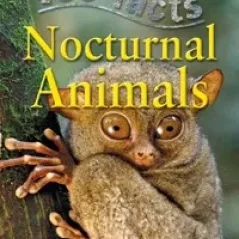 100 Facts Noctural Animals